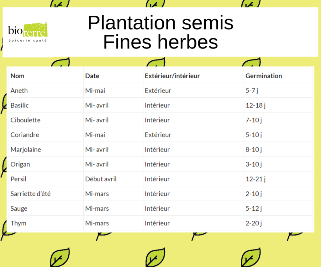 Calendrier Semis-fines-herbes printemps bio terre